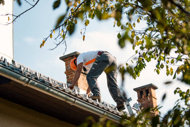 Best Roof Waterproofing Services  in South Bend, WA