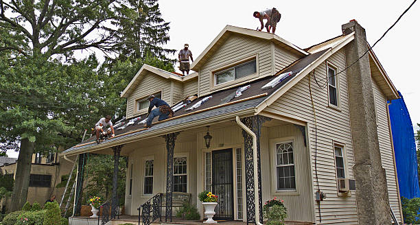 Best Roofing Contractor Near Me  in South Bend, WA