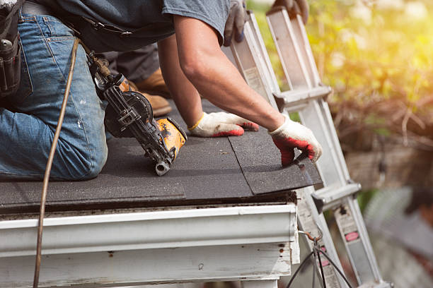 Best Roof Gutter Cleaning  in South Bend, WA